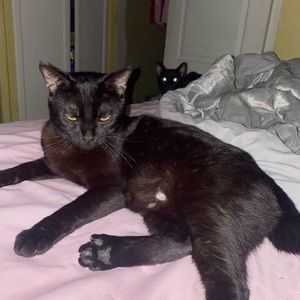 Meet your Posher, Cristian